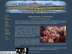 Sites similar to aquaeolas.com