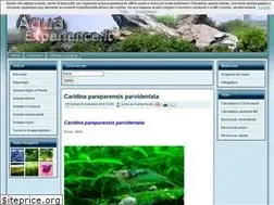 Sites similar to aquaexperience.it