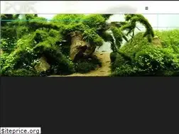 Sites similar to aquaforest.tokyo