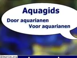 Sites similar to aquagids.nl