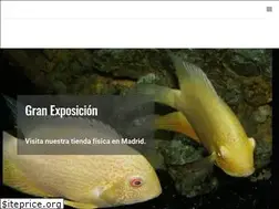 Sites similar to aqualoto.com
