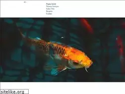 Sites similar to aquariomaniashop.com.br