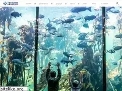 Sites similar to aquarium.co.za