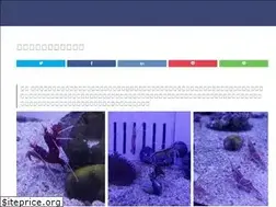 Sites similar to aquariumblue.net