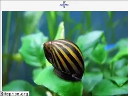 Sites similar to aquariumfishes.com
