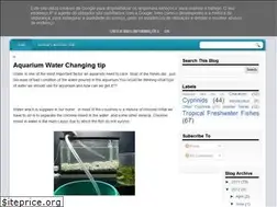 Sites similar to aquariumfishs.blogspot.com