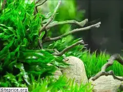 Sites similar to aquastyl.pl