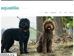 Sites similar to aquatilia.nl