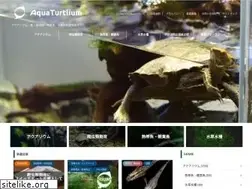 Sites similar to aquaturtlium.com