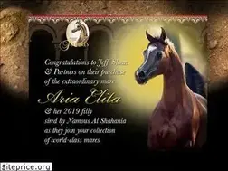 Sites similar to arabianhorsefutures.com