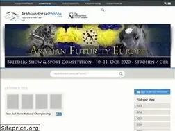 Sites similar to arabianhorsephotos.com