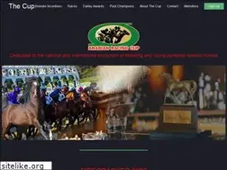Sites similar to arabianracingcup.com
