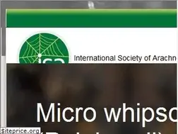 Sites similar to arachnology.org