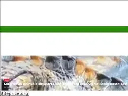 Sites similar to aragaonoticias.com.br