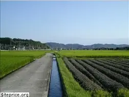 Sites similar to arakan60.com