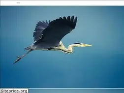 Sites similar to aramintastudio.com