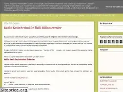 Sites similar to aramizdakielektrik.blogspot.com