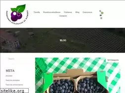Sites similar to arandanoselforo.com