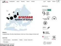 Sites similar to araneae.nmbe.ch