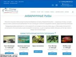 Sites similar to arapaimastyle.ru