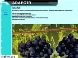 Sites similar to arapgir.tripod.com