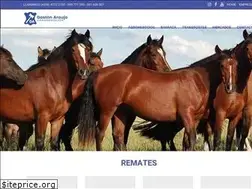 Sites similar to araujo.com.uy