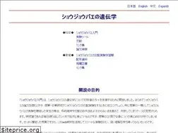 Sites similar to araye.org