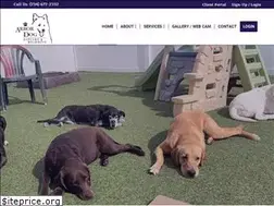 Sites similar to arbordogdaycare.com