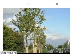 Sites similar to arbrecaue77.fr