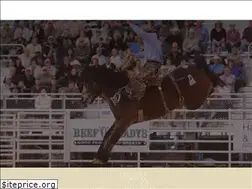 Sites similar to arcadiarodeo.com