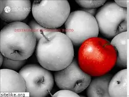 Sites similar to arcasbaiz.com