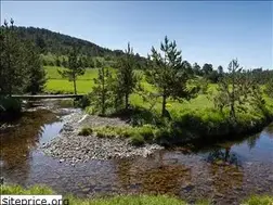 Sites similar to ardf2020.org