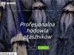 Sites similar to arent.pl