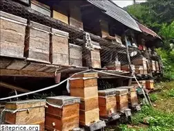 Sites similar to arhavibali.com