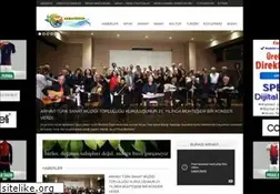 Sites similar to arhavizyon.com