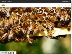 Sites similar to ariburnu.com.tr