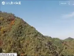 Sites similar to arima-okunohosomichi.com