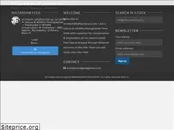 Sites similar to arindambhattacharya.com