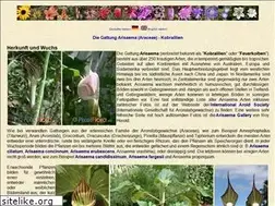 Sites similar to arisaema.de