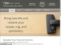 Sites similar to arisecarpetcleaning.com