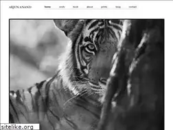 Sites similar to arjunanand.com