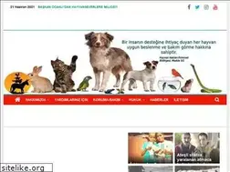 Sites similar to arkadas.org.tr