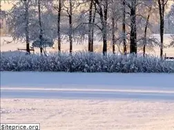 Sites similar to arkkubota.ca