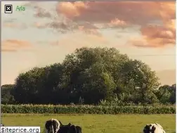 Sites similar to arlafoods.com