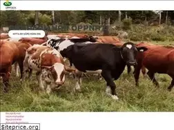 Sites similar to arlafoods.se
