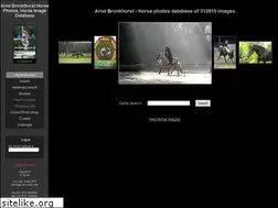 Sites similar to arnd.nl