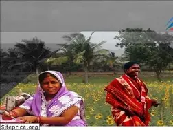 Sites similar to arohan.in