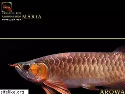 Sites similar to arowanamaria.com