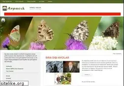 Sites similar to arpacik.net