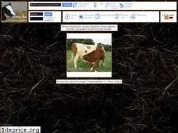 Sites similar to arpix.de